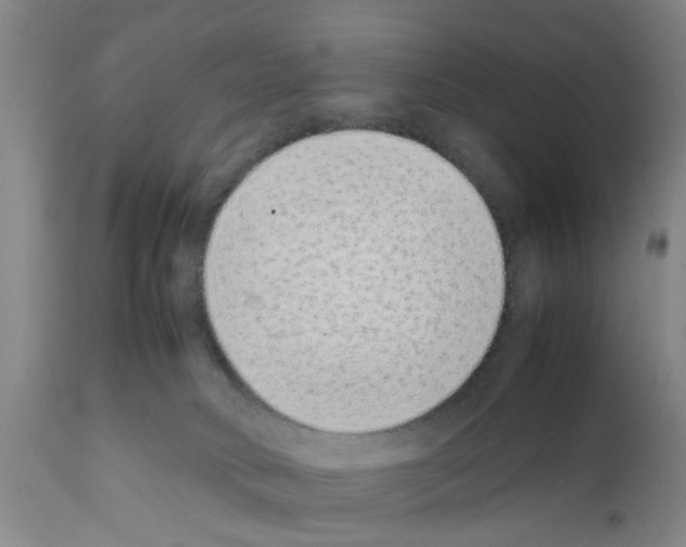 X0000111530034200908251213