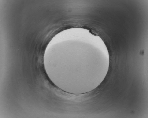 X0000111530035200908251213