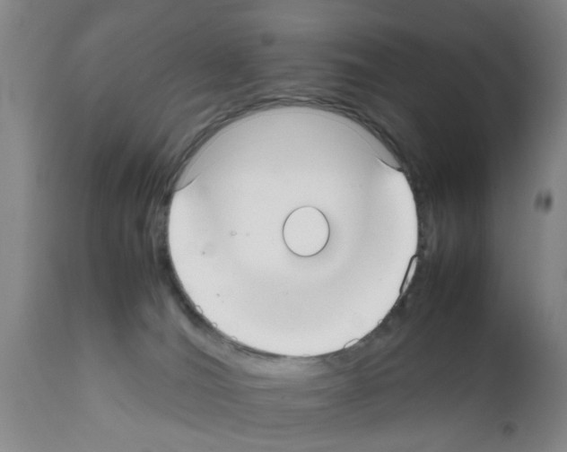 X0000111530036200908251213