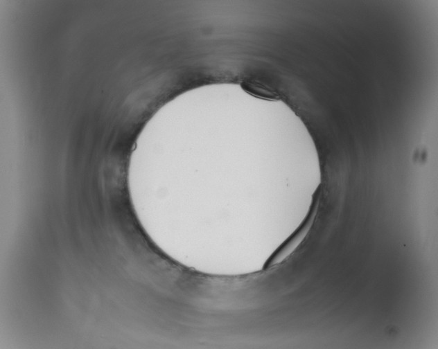 X0000111530037200908251213