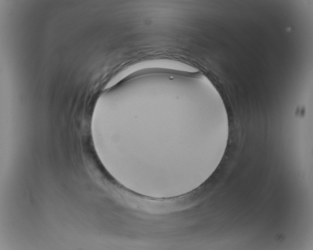 X0000111530039200908251213