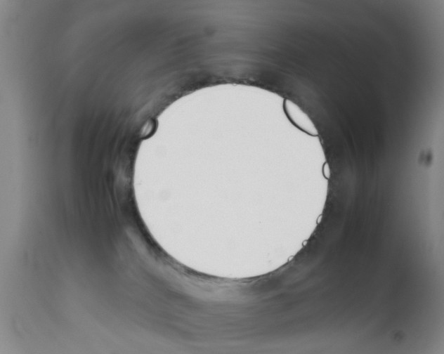 X0000111530040200908251213