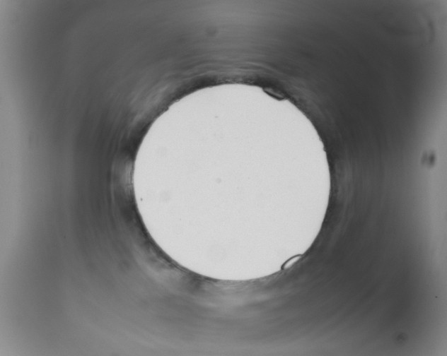 X0000111530041200908251213