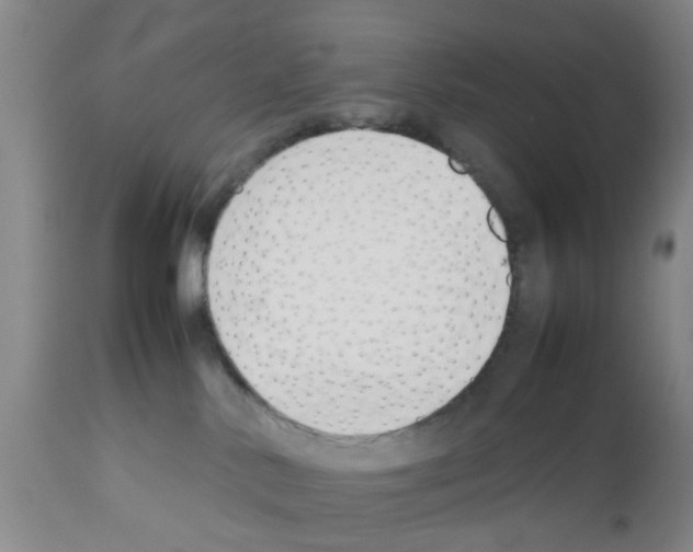 X0000111530042200908251213