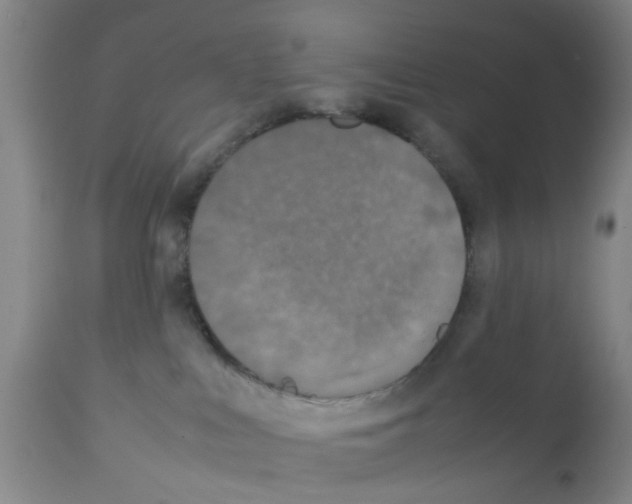 X0000111530043200908251213