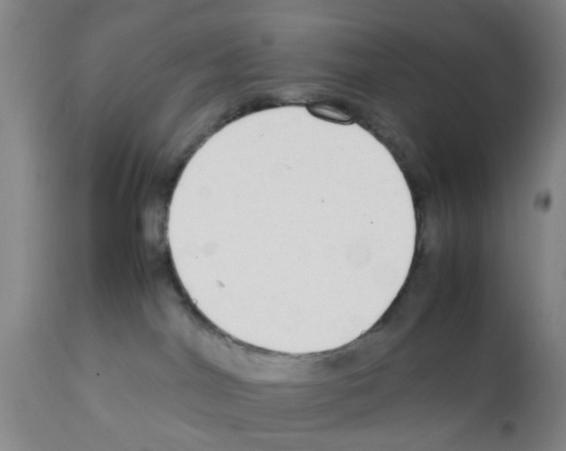 X0000111530044200908251213