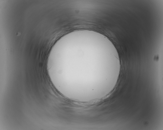 X0000111530045200908251213