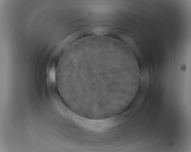 X0000111530046200908251213