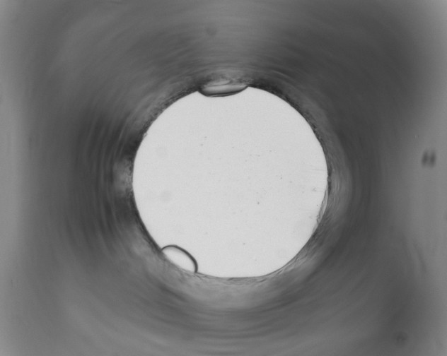 X0000111530048200908251213