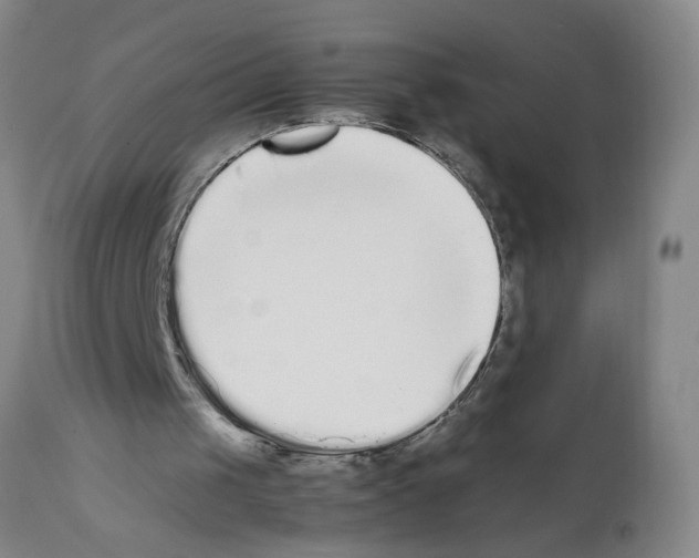 X0000111530049200908251212