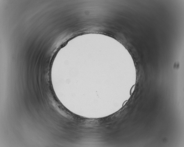 X0000111530050200908251212