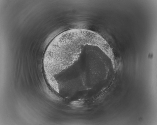 X0000111530051200908251212