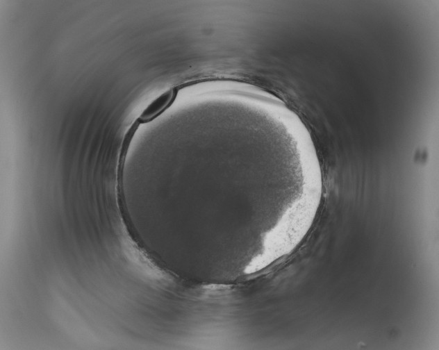 X0000111530052200908251212