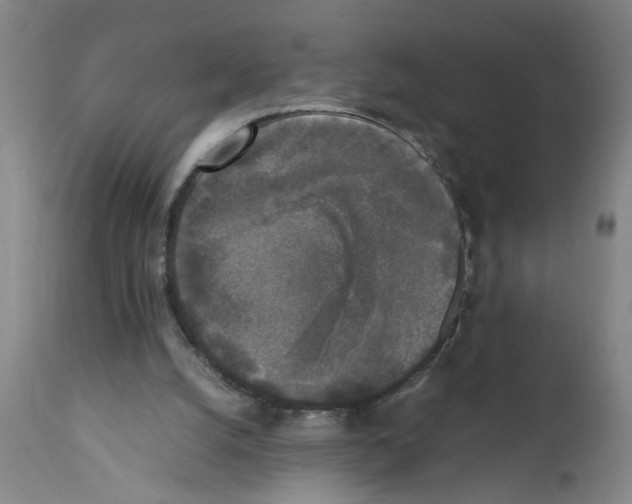 X0000111530056200908251212