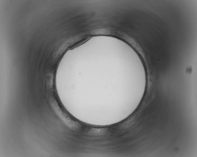 X0000111530057200908251212