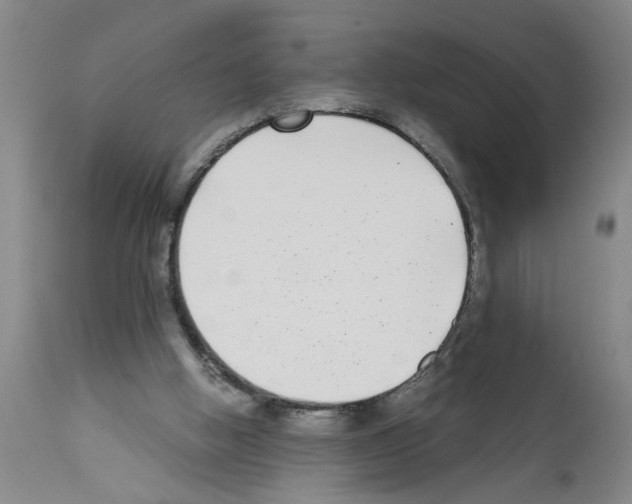 X0000111530058200908251212