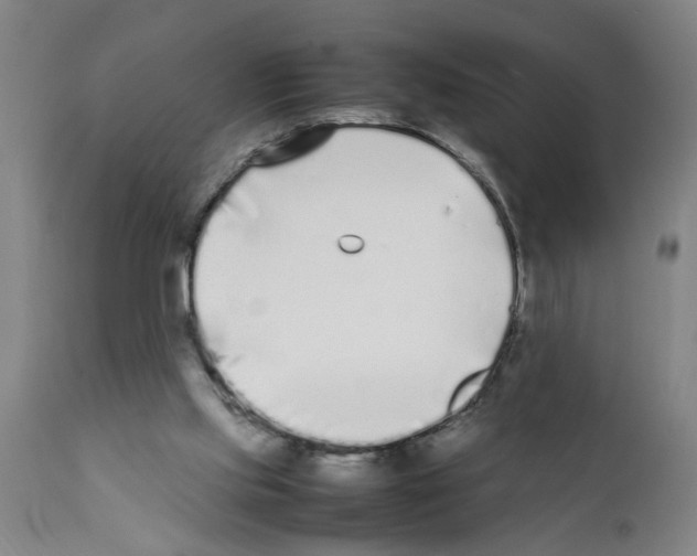 X0000111530061200908251212