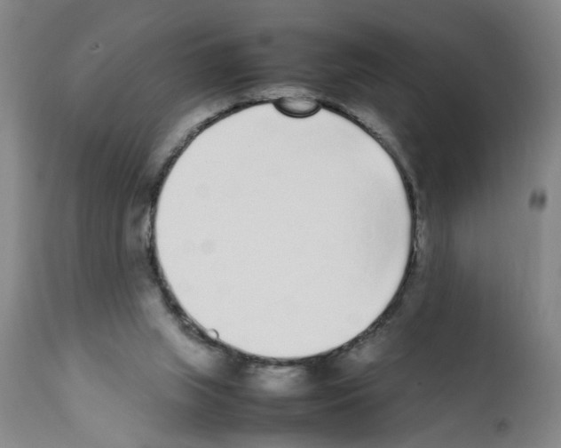 X0000111530063200908251212