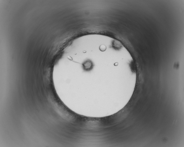 X0000111530066200908251212