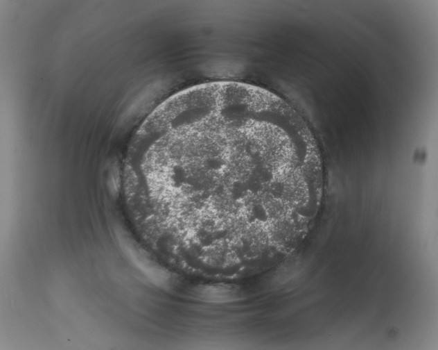 X0000111530069200908251213