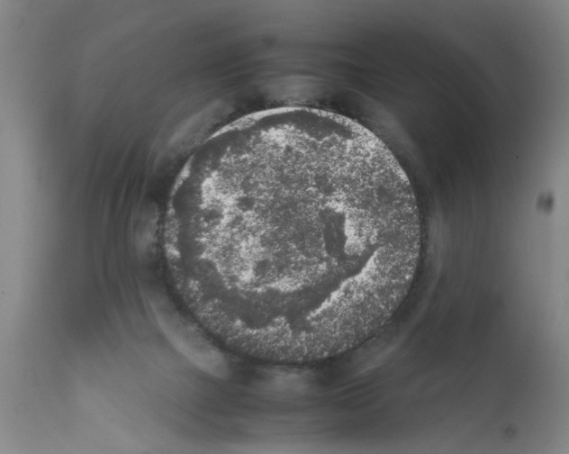 X0000111530073200908251213