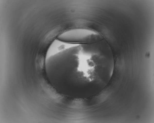 X0000111530076200908251213