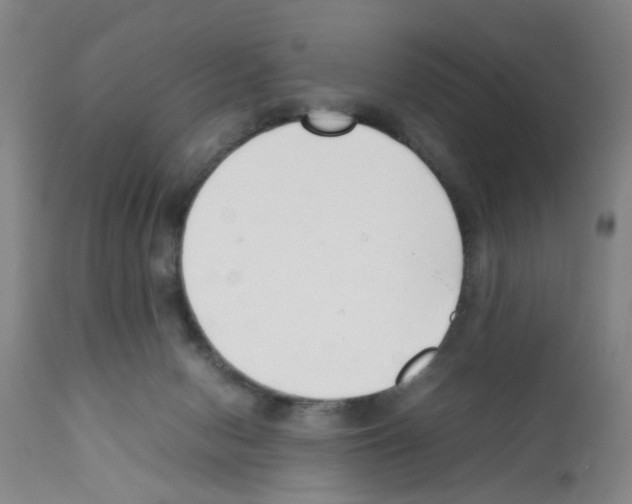 X0000111530078200908251213