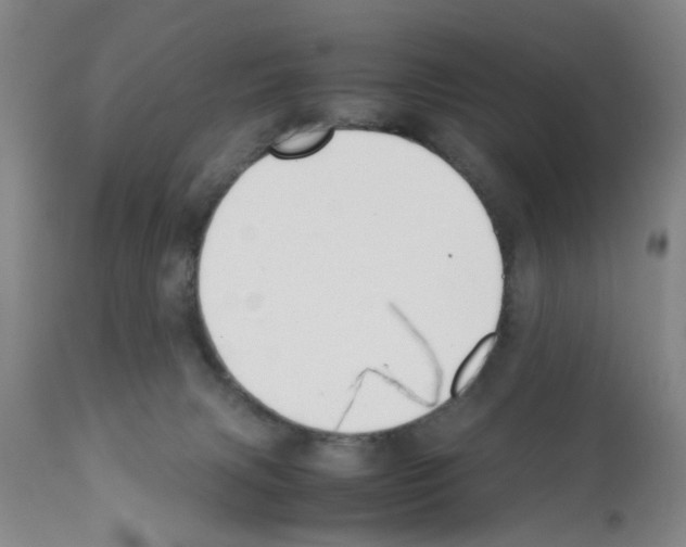 X0000111530079200908251213