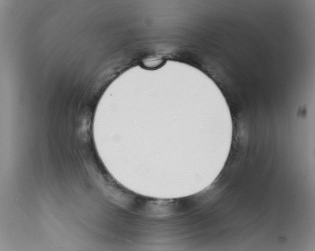 X0000111530082200908251213