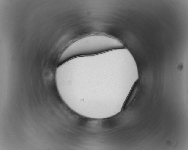 X0000111530084200908251213