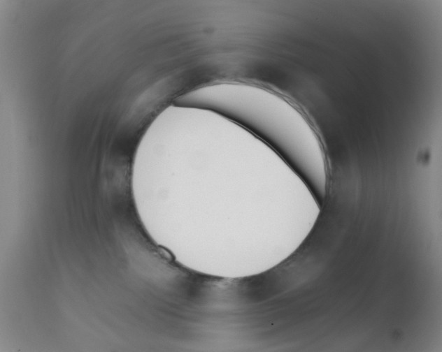 X0000111530092200908251213