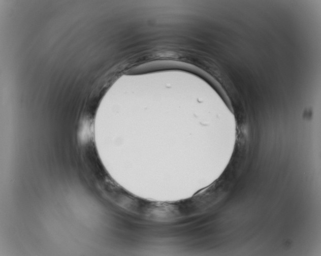 X0000111530095200908251213