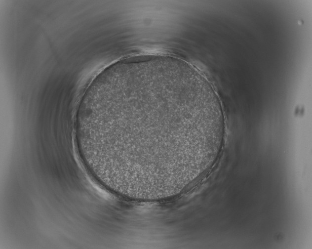 X0000111530097200908251212