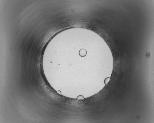 X0000111530098200908251212