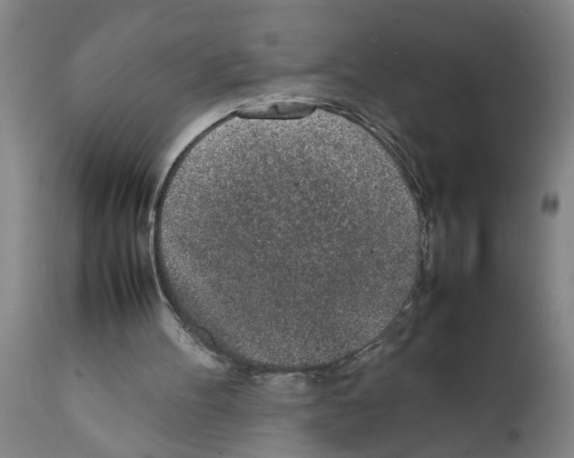 X0000111530100200908251212