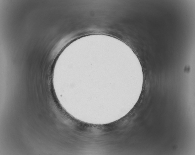 X0000111530103200908251212