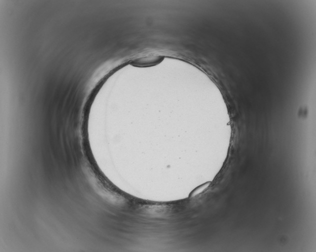 X0000111530104200908251212