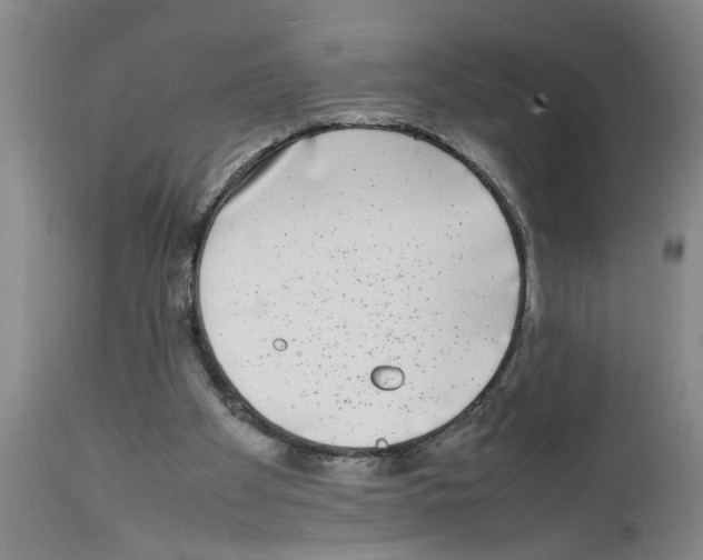 X0000111530105200908251212