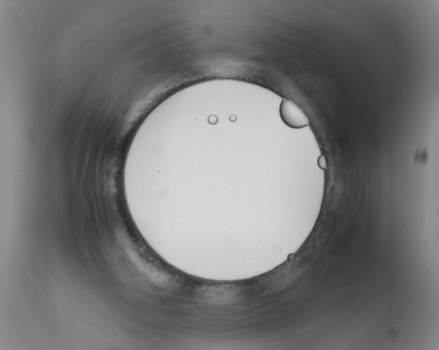 X0000111530106200908251212