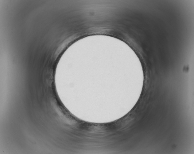 X0000111530107200908251212