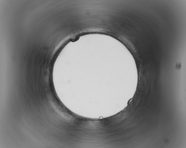 X0000111530108200908251212