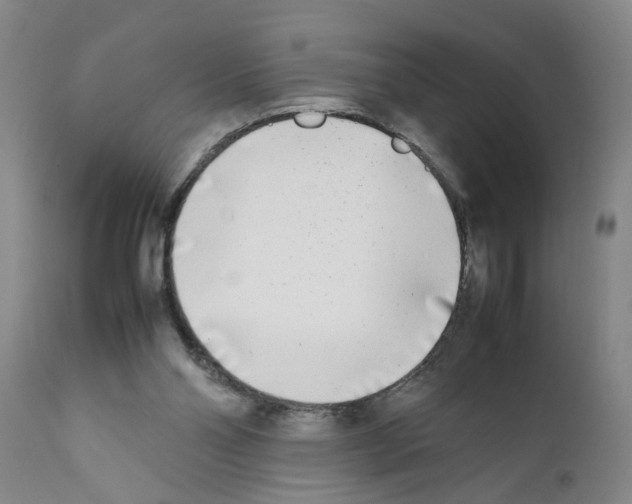 X0000111530110200908251212