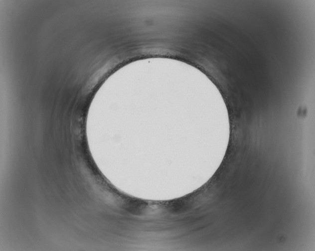 X0000111530111200908251212