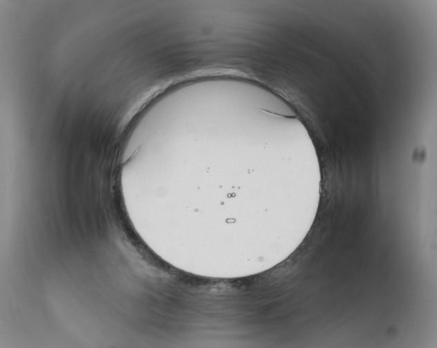 X0000111530112200908251212