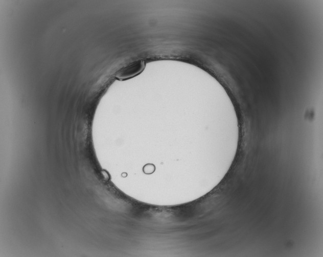 X0000111530113200908251212