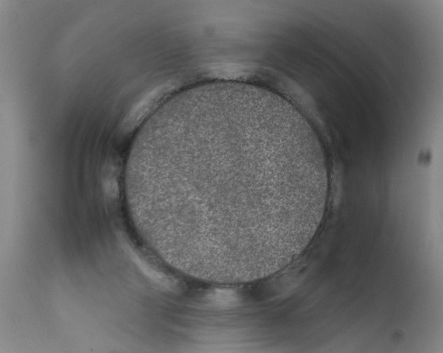 X0000111530114200908251212