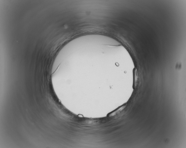 X0000111530117200908251212