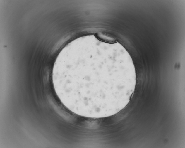 X0000111530120200908251212