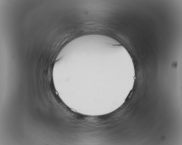 X0000111530121200908251212