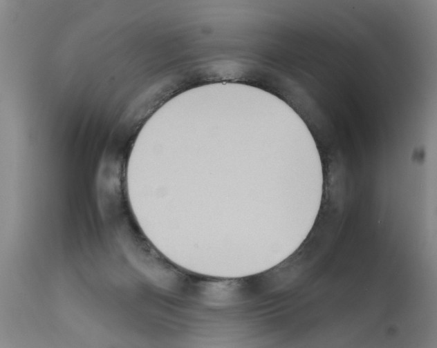 X0000111530122200908251212